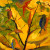 abstract painting of birds in a tree