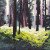 painting of pine tree trunks