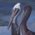 Painting of pelicans