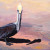 Pelican painting